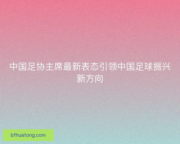 中国足协主席最新表态引领中国足球振兴新方向